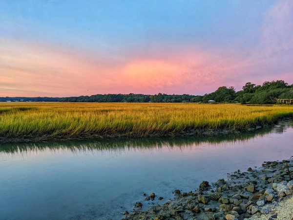 Bela Paisagem Riacho Com Grama Pôr Sol Fundo — Fotografia de Stock