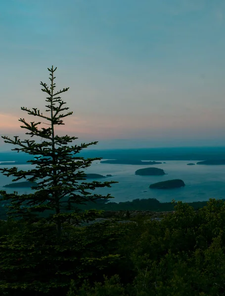 Vertikální Záběr Pobřeží Řeky Borovým Lesem Národním Parku Arcadia Maine — Stock fotografie