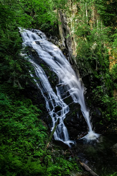 Tiro Vertical Uma Bela Cachoeira Uma Floresta Eslovênia — Fotografia de Stock