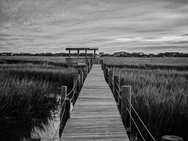 Grayscale Shot Boardwalk Meadow — 图库照片