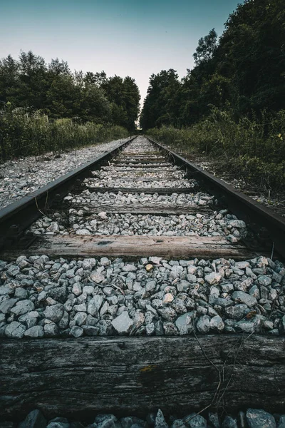 Tiro Vertical Uma Ferrovia Cercada Por Belas Árvores — Fotografia de Stock