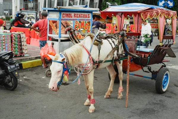 Jakarta Indonesia April 2021 Delman Horse Drawn Carriage Jakarta Indonesia — 图库照片