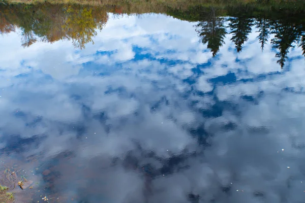 Die Reflexionen Von Wolken Und Bäumen Einem See — Stockfoto