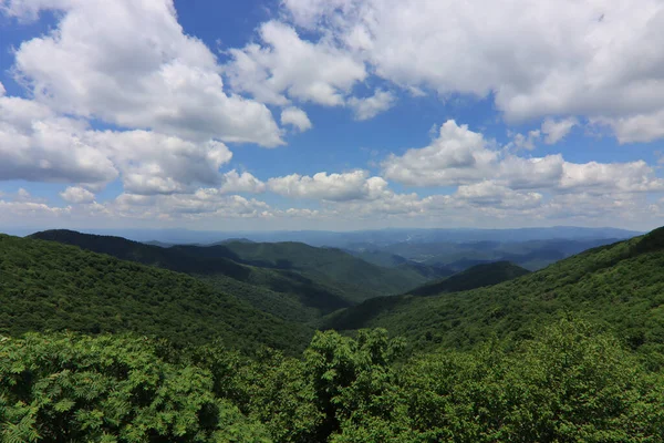 Прекрасний Краєвид Зелених Пагорбів Блакитного Неба Національний Ліс Піша Північна — стокове фото