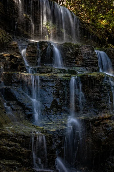 Vertikální Záběr Krásného Vodopádu Lese — Stock fotografie