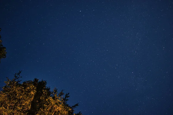 美しい星空 — ストック写真