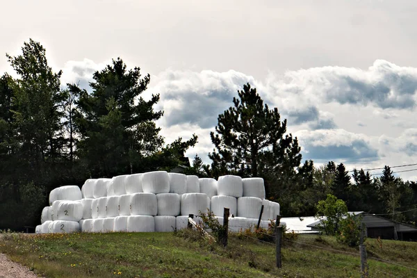 Some White Bales Stacked Field — Stock Photo, Image