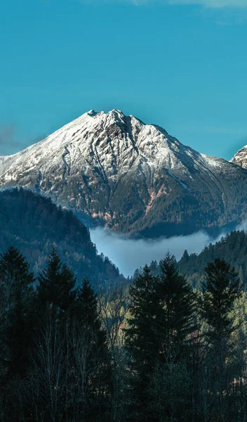Eine Vertikale Aufnahme Der Bayerischen Alpen Deutschland Mit Schnee Bedeckt — Stockfoto