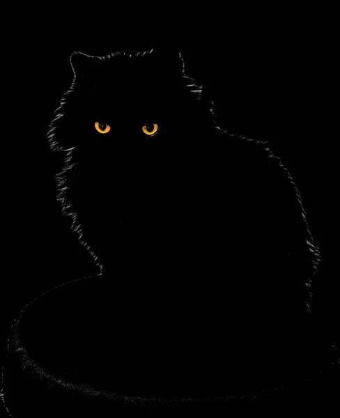 Karanlıktaki Bir Kara Kedinin Dikey Dramatik Görüntüsü — Stok fotoğraf