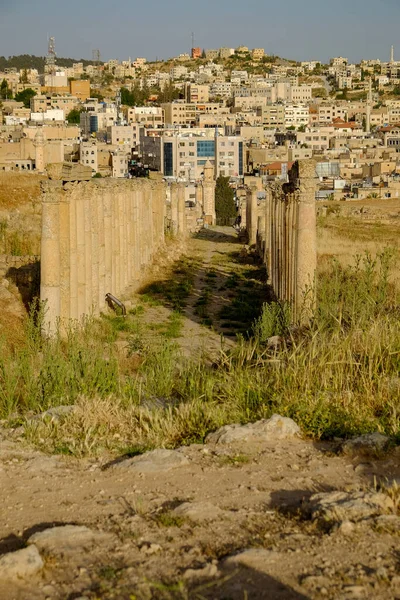 Vertical Shot Temple Zeus Jerash Jordan — Stockfoto