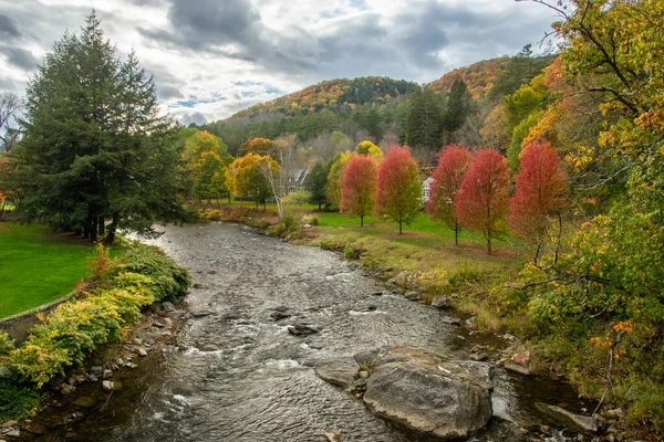 River Autumn Forest — Stock Photo, Image