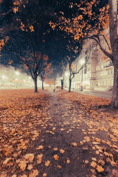 Вертикальный Снимок Парка Золотых Деревьев Сухих Осенних Листьев — стоковое фото