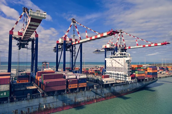 Livorno Itália Novembro 2021 Carga Industrial Navios Porta Contentores Porto — Fotografia de Stock