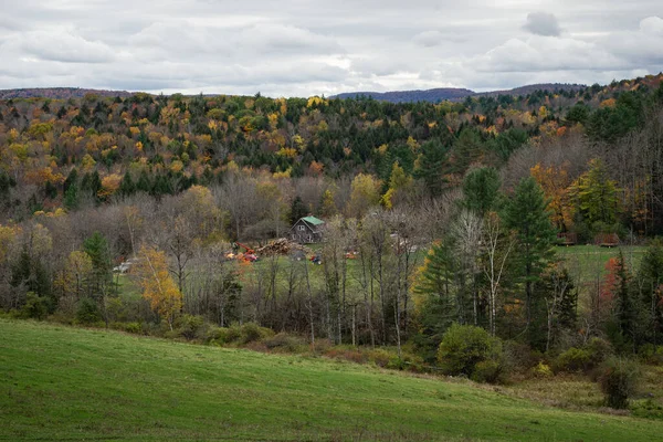 Красивый Осенний Вид Лесу Красочными Деревьями — стоковое фото
