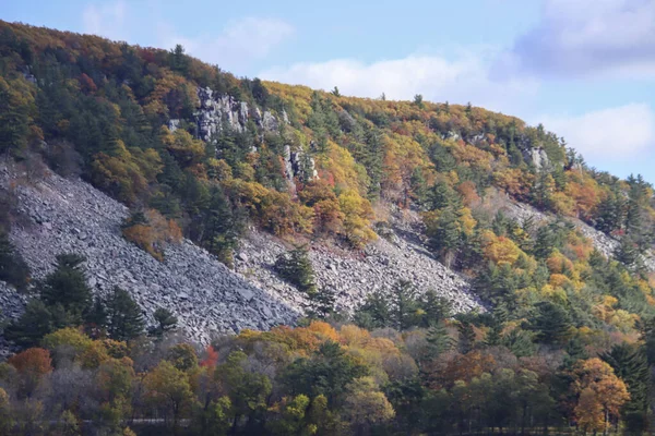 Piękny Widok Wzgórza Gęstymi Kolorowymi Drzewami Pod Czystym Niebem Jesienią — Zdjęcie stockowe
