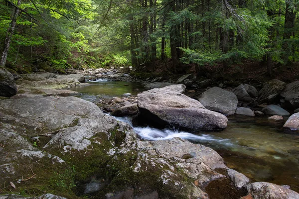 River Autumn Forest Stock Picture