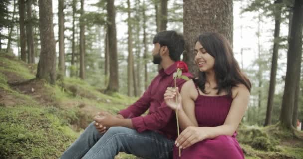 Indian Couple Dating Park Sitting Tree Woman Holding Red Rose — ストック動画