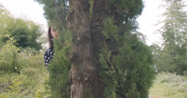 Parktaki Hintli Çift Ağacın Arkasına Saklanmış — Stok video