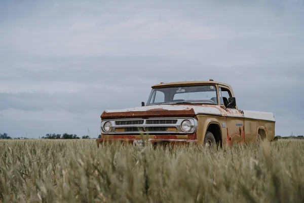 Ein Rostiger Oldtimer Lkw Parkt Auf Einer Wiese Unter Wolkenverhangenem — Stockfoto