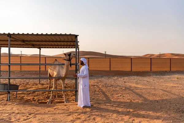 Ain Emiratos Árabes Unidos Octubre 2021 Propietario Emiratí Visita Granja — Foto de Stock