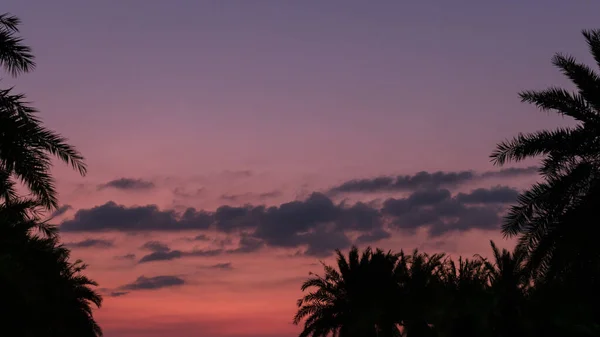 日没時の美しいピンクの空 芸術的な美しさ — ストック写真