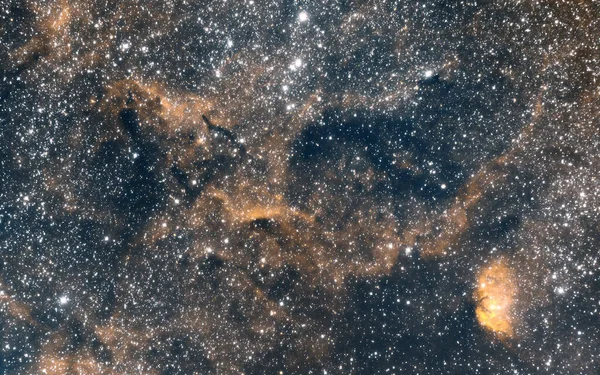 郁金香星云 周围环绕着氢 发射星云和黑暗星云的脉络 Cygnus — 图库照片