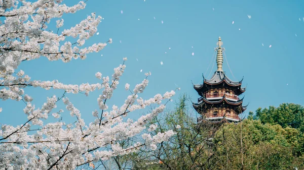 Nanjing China Apr 2019 Jiming Tempel Omringd Door Kersenbloesems Het — Stockfoto