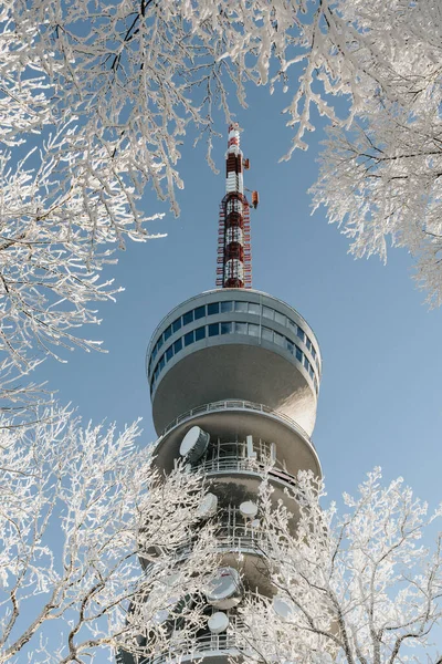 Winter Scene Tower Rising Frosty Trees Sunny Winter Day Sljeme — Stock Photo, Image