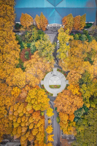 12月3 2019 中国の南京大学周辺の黄色の木の空中ショット — ストック写真
