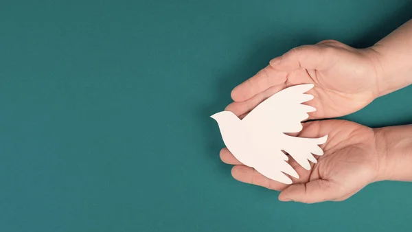 Met Een Witte Duif Handen Symbool Van Vrede Uitgesneden Papier — Stockfoto