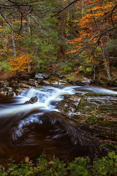Kent Falls State Park United States October 2021 Fall Kent — 图库照片