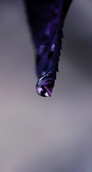 Vertical Closeup Waterdrop Tip Cloth — Stockfoto