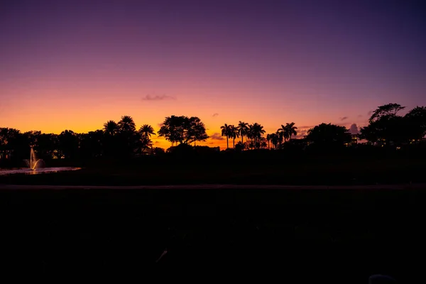 Een Silhouet Van Tropische Bomen Zonsondergang — Stockfoto
