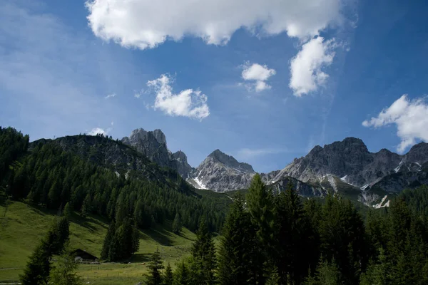 Uma Vista Panorâmica Das Montanhas Cobertas Com Abetos Fundo Azul — Fotografia de Stock