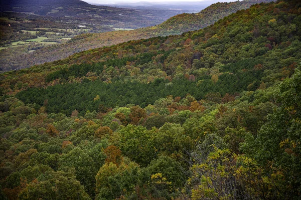 Vzdušný Pohled Hustý Les Kopci Podzimních Barvách — Stock fotografie
