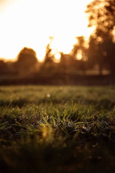 Rlanda Altın Bir Günbatımının Sakin Manzarası Bokeh Işıkları Ile — Stok fotoğraf