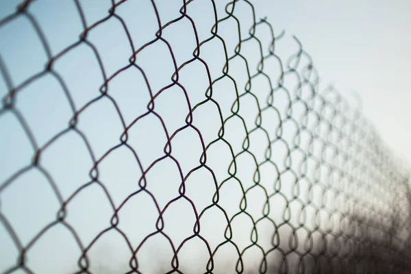 Selective Focus Shot Metal Fence — Stock Photo, Image