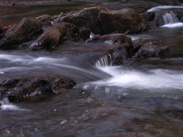 Primo Piano Rocce Ruscello Una Foresta — Foto Stock