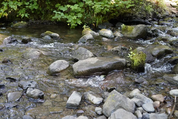 Kilátás Kis Nagy Kövek Folyóban — Stock Fotó