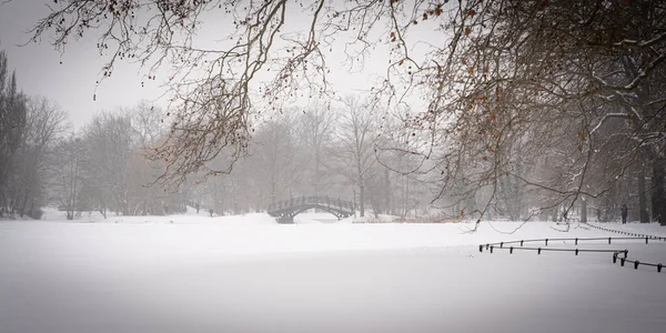 Een Brug Een Snowy Park Een Mistige Dag — Stockfoto