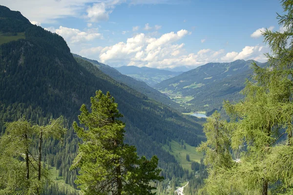 Uma Vista Panorâmica Das Montanhas Cobertas Com Florestas Verdes Abetos — Fotografia de Stock