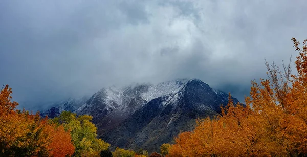 Una Vista Panorámica Las Montañas Través Árbol Con Hojas Amarillas — Foto de Stock
