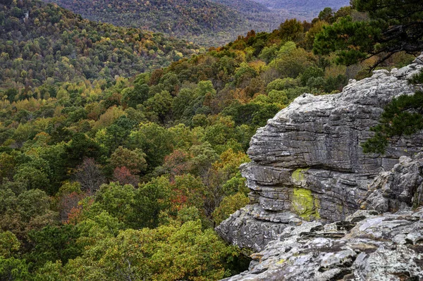 바위와 숲으로 이루어진 아름다운 — 스톡 사진