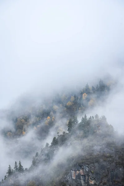 Zagana China Nov 2019 Vertical Shot Rocky Hills Covered Forest — Stockfoto