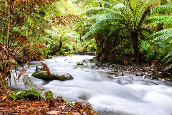 Stream Wild River Long Exposure — Stock Photo, Image