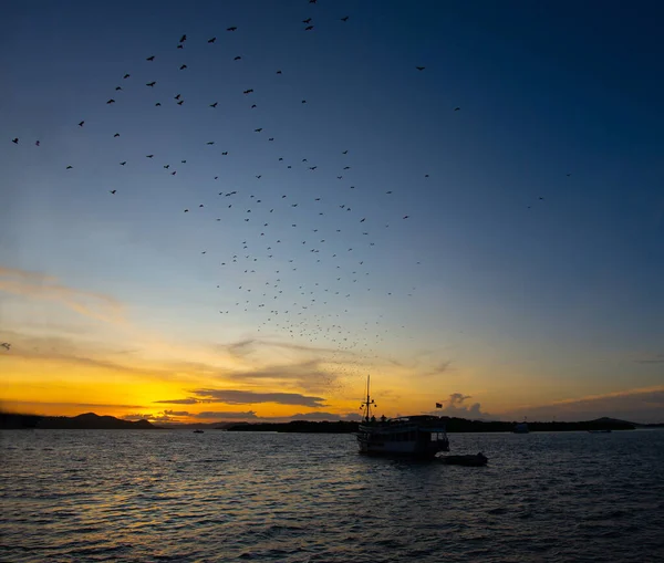 Una Vista Panorámica Barco Mar Las Aves Cielo Una Puesta — Foto de Stock