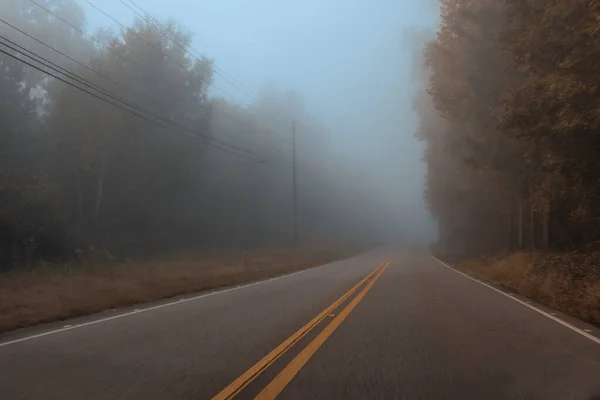 多雾的天气 乡间的一条公路 — 图库照片