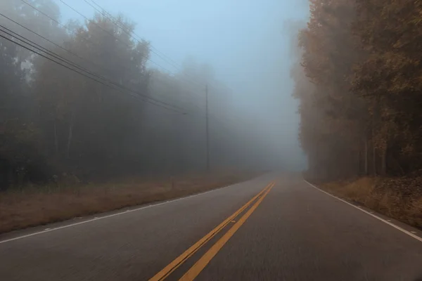 Autostrada Campagna Una Giornata Nebbiosa — Foto Stock