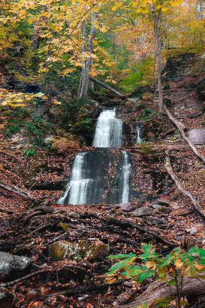 Svislý Záběr Krásného Vodopádu Lese — Stock fotografie