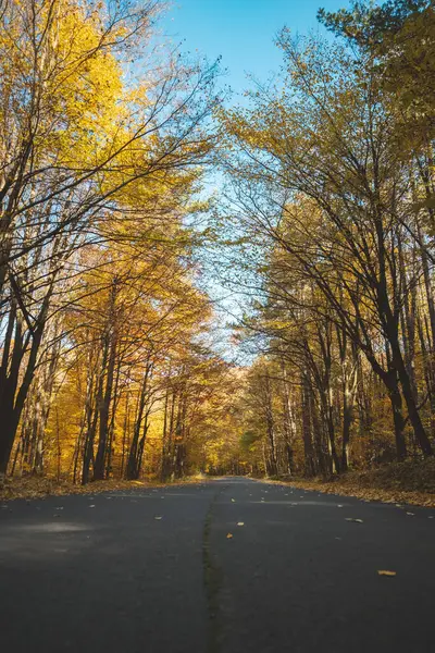 Uma Bela Paisagem Parque Outono — Fotografia de Stock